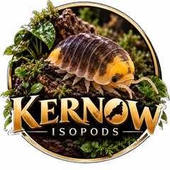 Kernow Isopods