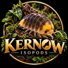 Kernow Isopods