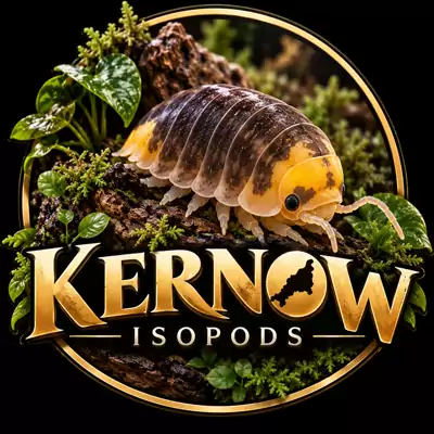Kernow Isopods